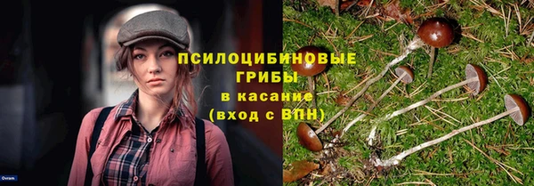 круглые Богданович